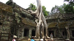 Ta Prom, Angkor Wat, Kambodža