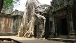Ta Prom, Angkor Wat, Kambodža