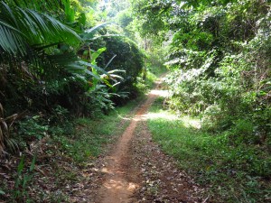 Ko Chang na sjevernoj obali Andamanskog mora, Thailand