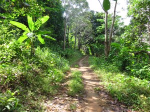Ko Chang na sjevernoj obali Andamanskog mora, Thailand
