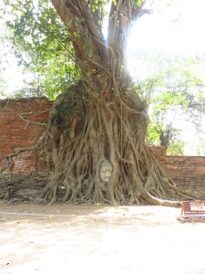 Wat Mahathat , Ayutthaya, Thailand