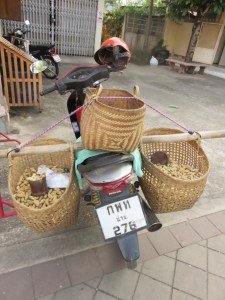 kikiriki, Nan, Tajland