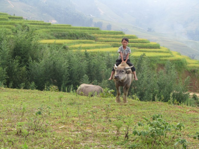 Sapa, Vijetnam
